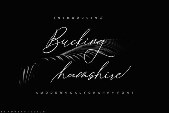 Bucking Hamshire: A Creative Font for Bold Branding