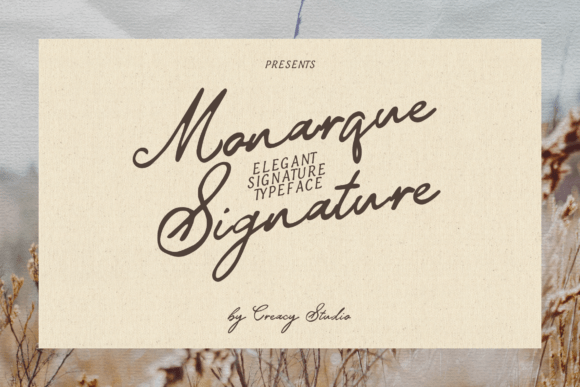 Monarque Signature: Bridging Classic Charm and Modern Branding